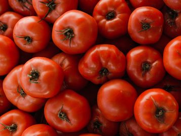 Tomates rondes BIO